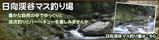 マス釣り場
